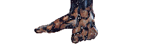 Feet of Iron and Clay